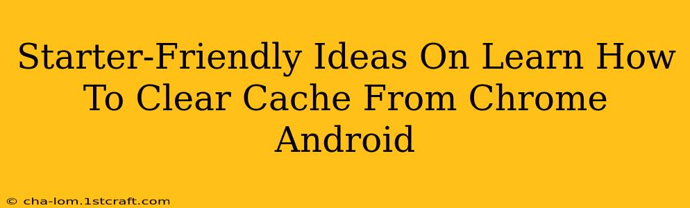 Starter-Friendly Ideas On Learn How To Clear Cache From Chrome Android