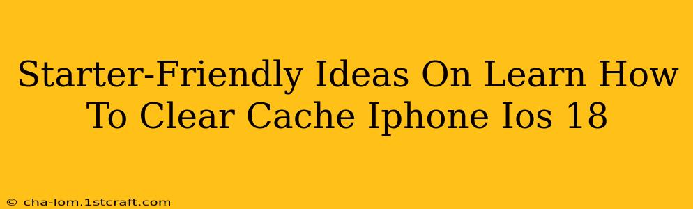 Starter-Friendly Ideas On Learn How To Clear Cache Iphone Ios 18