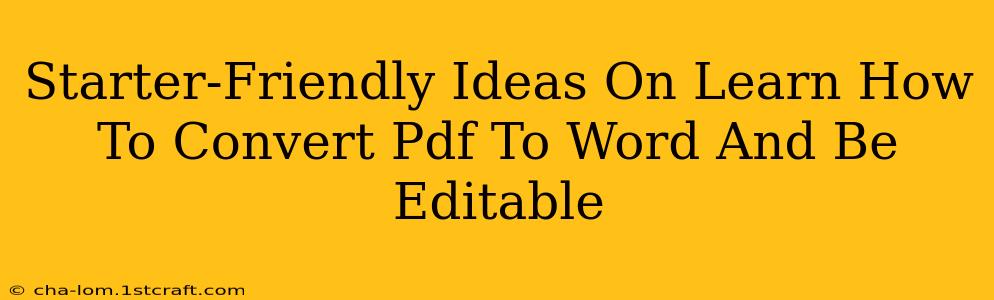 Starter-Friendly Ideas On Learn How To Convert Pdf To Word And Be Editable