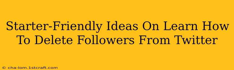 Starter-Friendly Ideas On Learn How To Delete Followers From Twitter