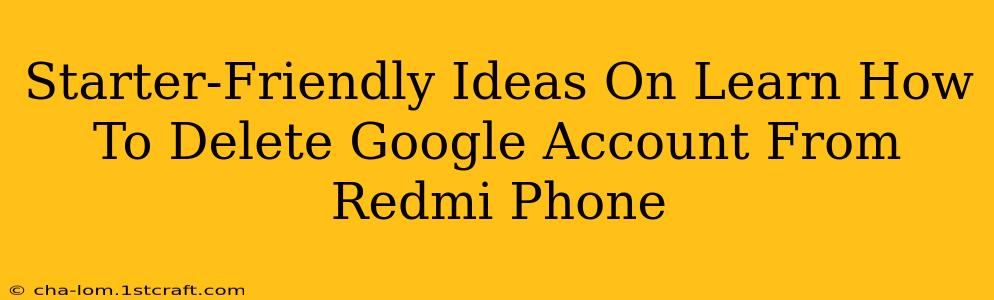 Starter-Friendly Ideas On Learn How To Delete Google Account From Redmi Phone