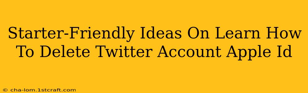 Starter-Friendly Ideas On Learn How To Delete Twitter Account Apple Id