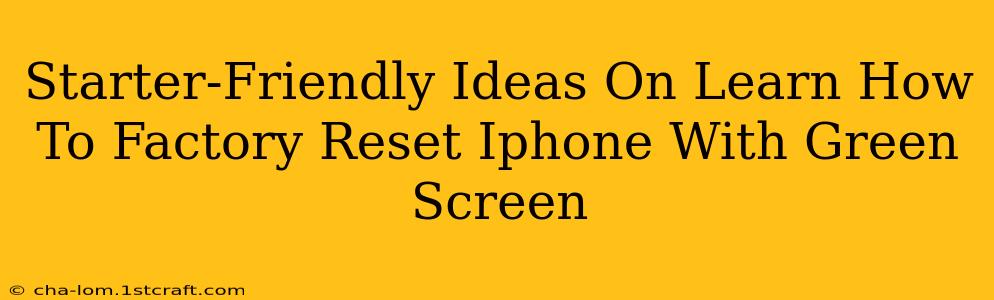 Starter-Friendly Ideas On Learn How To Factory Reset Iphone With Green Screen