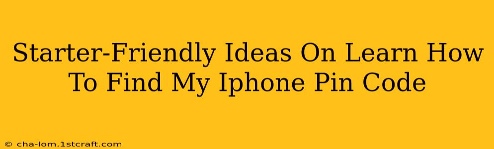 Starter-Friendly Ideas On Learn How To Find My Iphone Pin Code