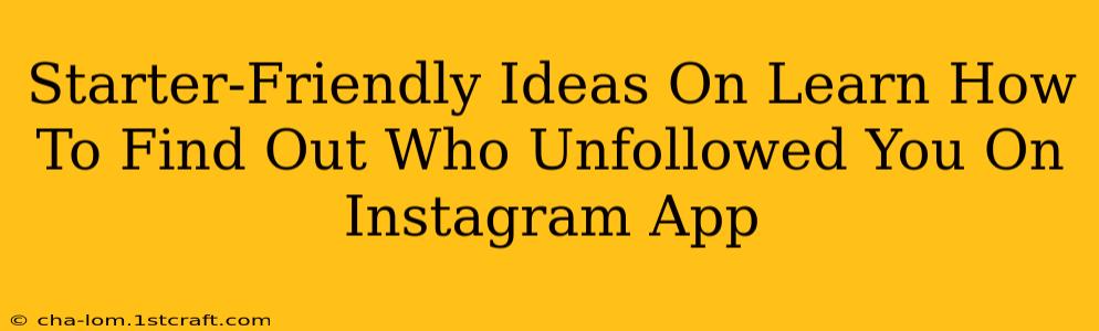 Starter-Friendly Ideas On Learn How To Find Out Who Unfollowed You On Instagram App