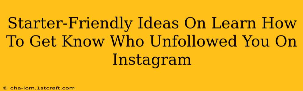 Starter-Friendly Ideas On Learn How To Get Know Who Unfollowed You On Instagram