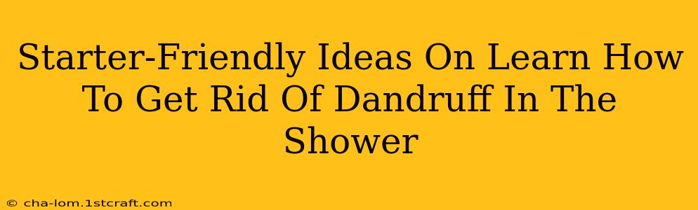 Starter-Friendly Ideas On Learn How To Get Rid Of Dandruff In The Shower