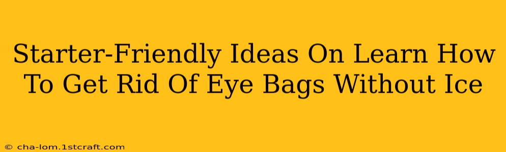 Starter-Friendly Ideas On Learn How To Get Rid Of Eye Bags Without Ice