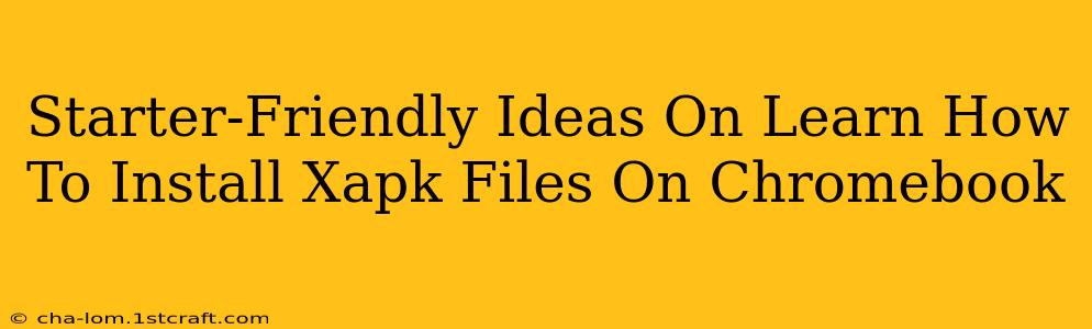 Starter-Friendly Ideas On Learn How To Install Xapk Files On Chromebook