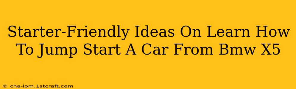 Starter-Friendly Ideas On Learn How To Jump Start A Car From Bmw X5