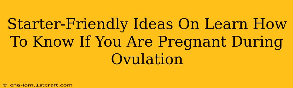 Starter-Friendly Ideas On Learn How To Know If You Are Pregnant During Ovulation