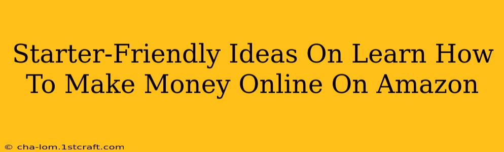 Starter-Friendly Ideas On Learn How To Make Money Online On Amazon