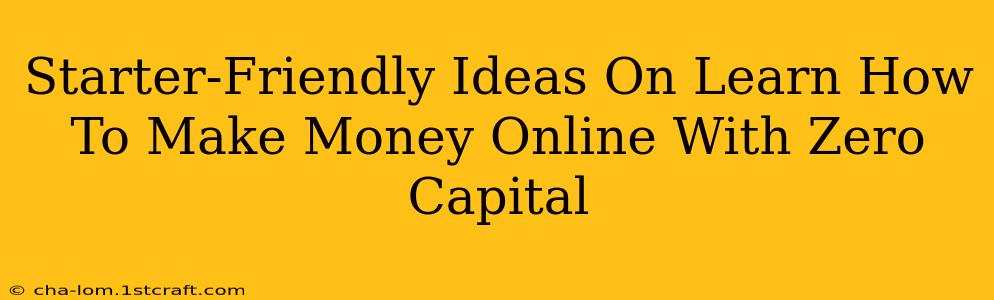 Starter-Friendly Ideas On Learn How To Make Money Online With Zero Capital