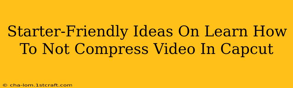 Starter-Friendly Ideas On Learn How To Not Compress Video In Capcut