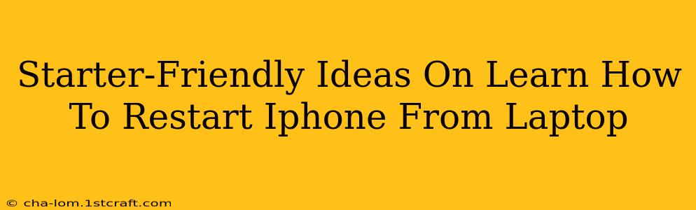 Starter-Friendly Ideas On Learn How To Restart Iphone From Laptop