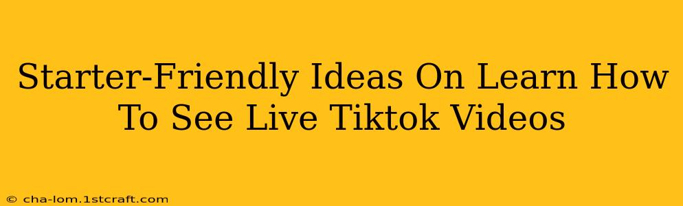 Starter-Friendly Ideas On Learn How To See Live Tiktok Videos