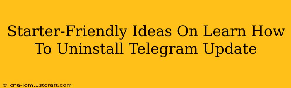 Starter-Friendly Ideas On Learn How To Uninstall Telegram Update