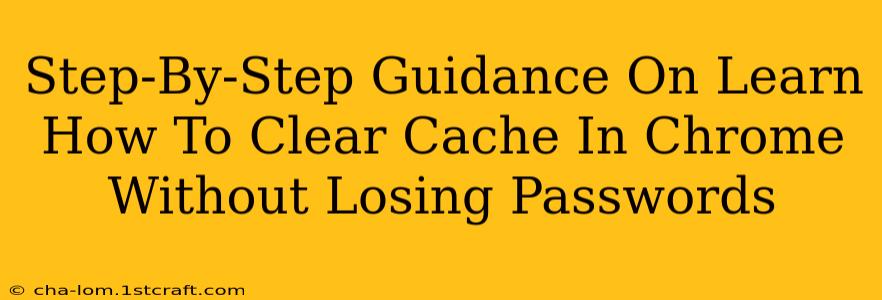 Step-By-Step Guidance On Learn How To Clear Cache In Chrome Without Losing Passwords