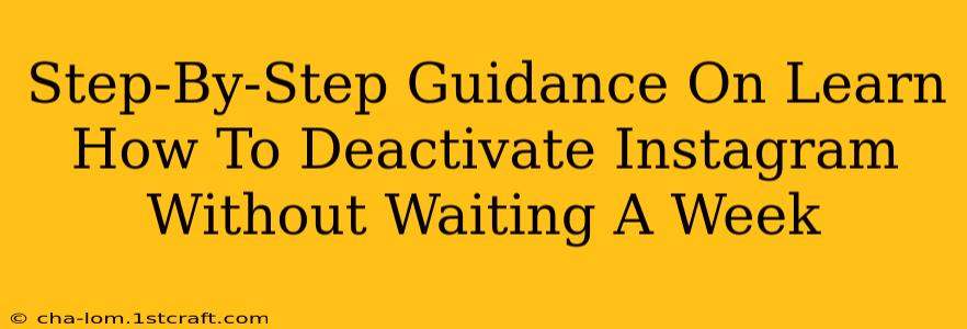 Step-By-Step Guidance On Learn How To Deactivate Instagram Without Waiting A Week