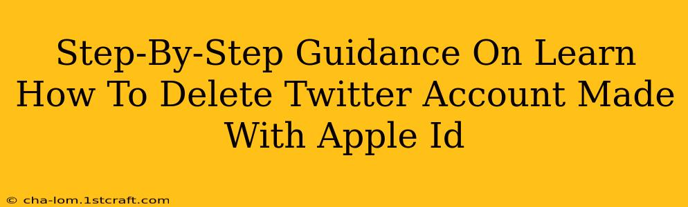 Step-By-Step Guidance On Learn How To Delete Twitter Account Made With Apple Id