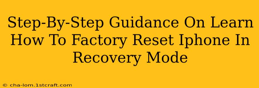 Step-By-Step Guidance On Learn How To Factory Reset Iphone In Recovery Mode