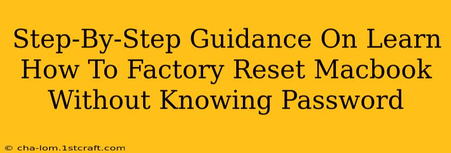 Step-By-Step Guidance On Learn How To Factory Reset Macbook Without Knowing Password