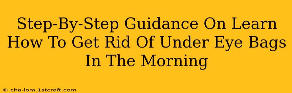 Step-By-Step Guidance On Learn How To Get Rid Of Under Eye Bags In The Morning