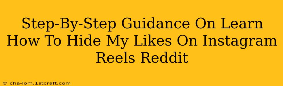 Step-By-Step Guidance On Learn How To Hide My Likes On Instagram Reels Reddit