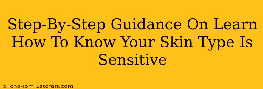 Step-By-Step Guidance On Learn How To Know Your Skin Type Is Sensitive