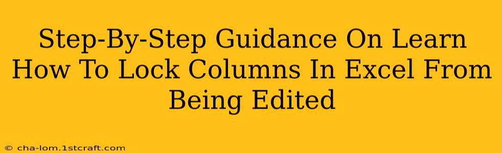 Step-By-Step Guidance On Learn How To Lock Columns In Excel From Being Edited