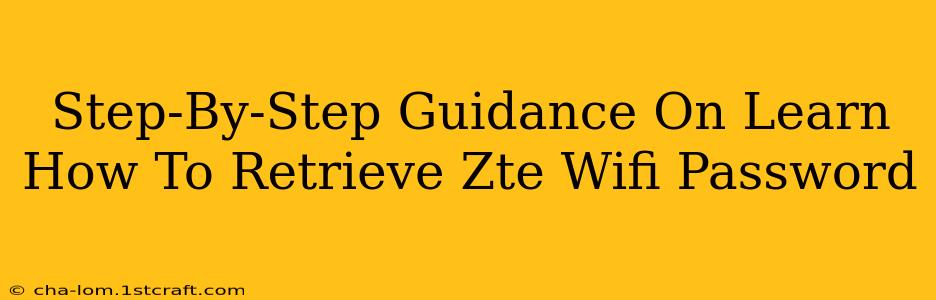 Step-By-Step Guidance On Learn How To Retrieve Zte Wifi Password