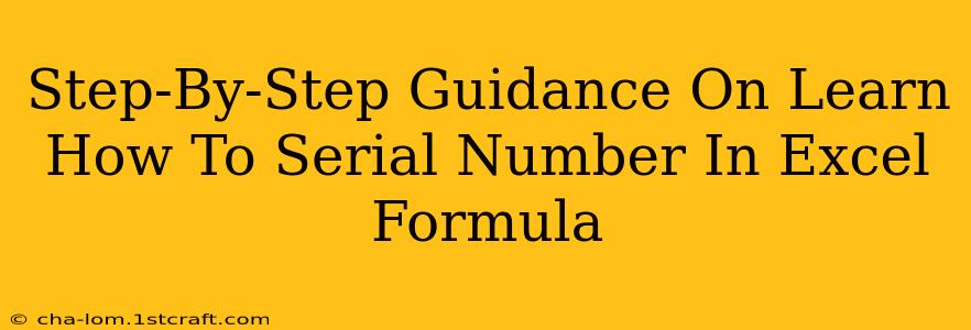 Step-By-Step Guidance On Learn How To Serial Number In Excel Formula