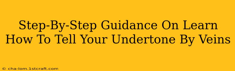 Step-By-Step Guidance On Learn How To Tell Your Undertone By Veins