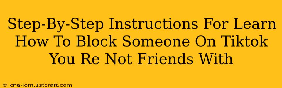 Step-By-Step Instructions For Learn How To Block Someone On Tiktok You Re Not Friends With