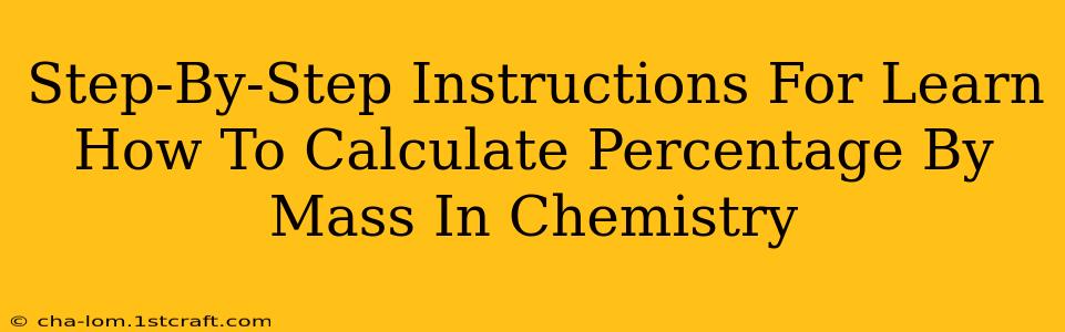 Step-By-Step Instructions For Learn How To Calculate Percentage By Mass In Chemistry