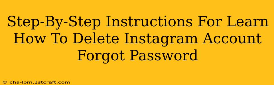 Step-By-Step Instructions For Learn How To Delete Instagram Account Forgot Password