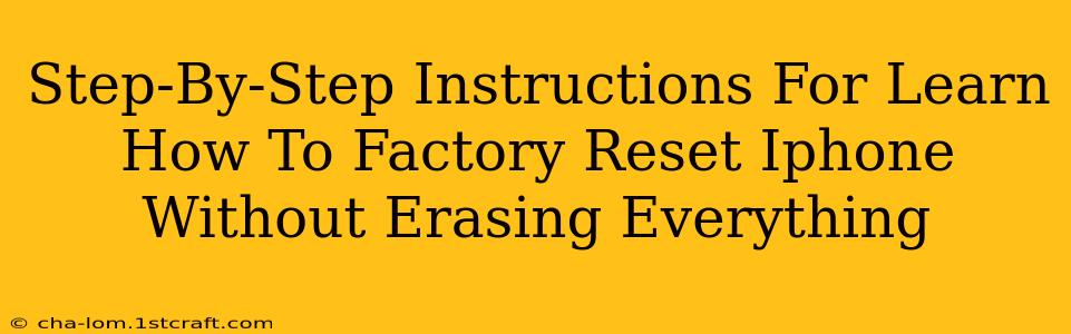 Step-By-Step Instructions For Learn How To Factory Reset Iphone Without Erasing Everything