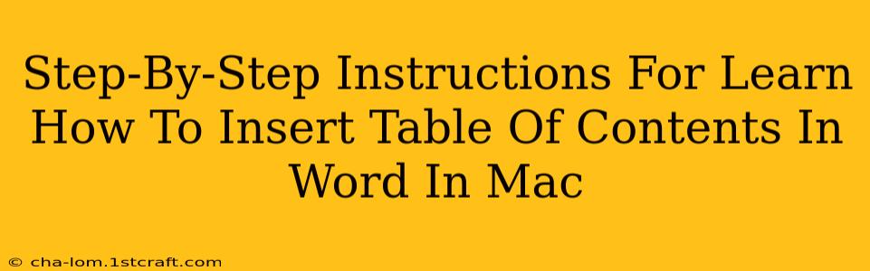 Step-By-Step Instructions For Learn How To Insert Table Of Contents In Word In Mac