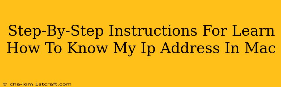 Step-By-Step Instructions For Learn How To Know My Ip Address In Mac