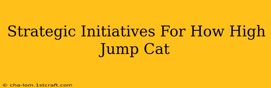 Strategic Initiatives For How High Jump Cat