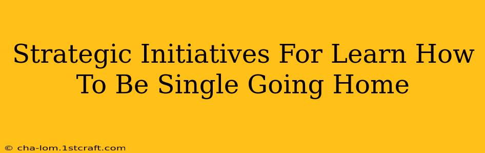 Strategic Initiatives For Learn How To Be Single Going Home