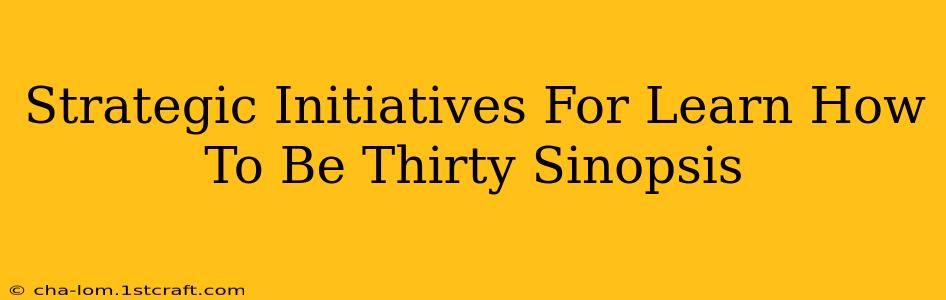 Strategic Initiatives For Learn How To Be Thirty Sinopsis