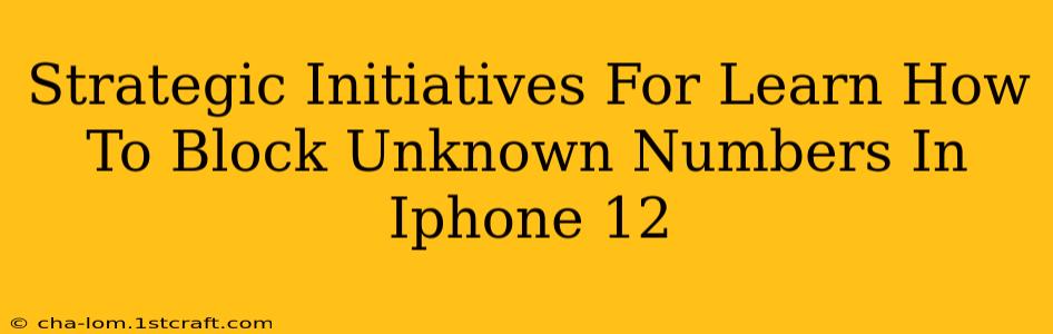 Strategic Initiatives For Learn How To Block Unknown Numbers In Iphone 12