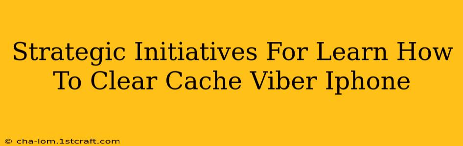 Strategic Initiatives For Learn How To Clear Cache Viber Iphone