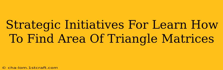 Strategic Initiatives For Learn How To Find Area Of Triangle Matrices