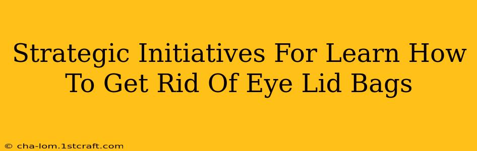 Strategic Initiatives For Learn How To Get Rid Of Eye Lid Bags