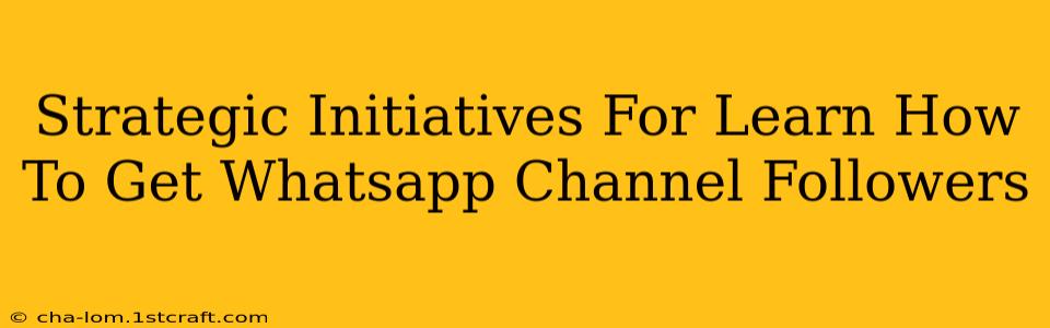 Strategic Initiatives For Learn How To Get Whatsapp Channel Followers