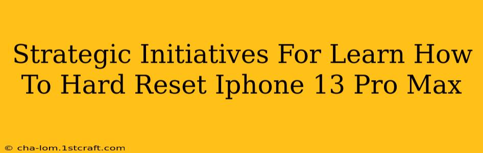 Strategic Initiatives For Learn How To Hard Reset Iphone 13 Pro Max