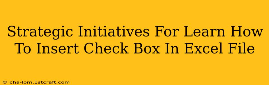 Strategic Initiatives For Learn How To Insert Check Box In Excel File