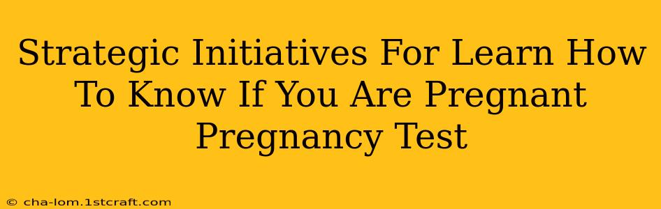 Strategic Initiatives For Learn How To Know If You Are Pregnant Pregnancy Test